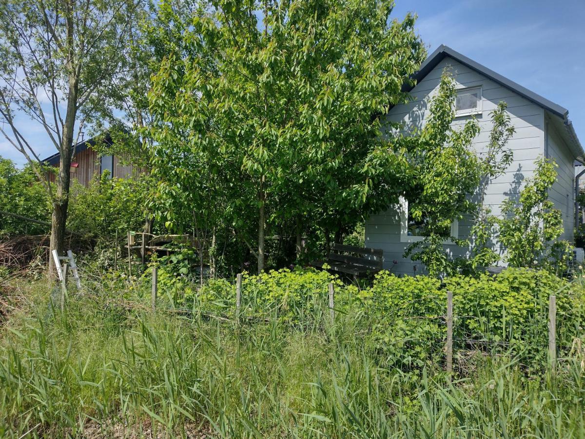 Tuinhuisje In Het Groen Almere Exterior foto