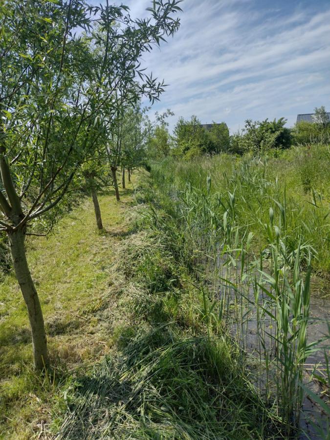 Tuinhuisje In Het Groen Almere Exterior foto
